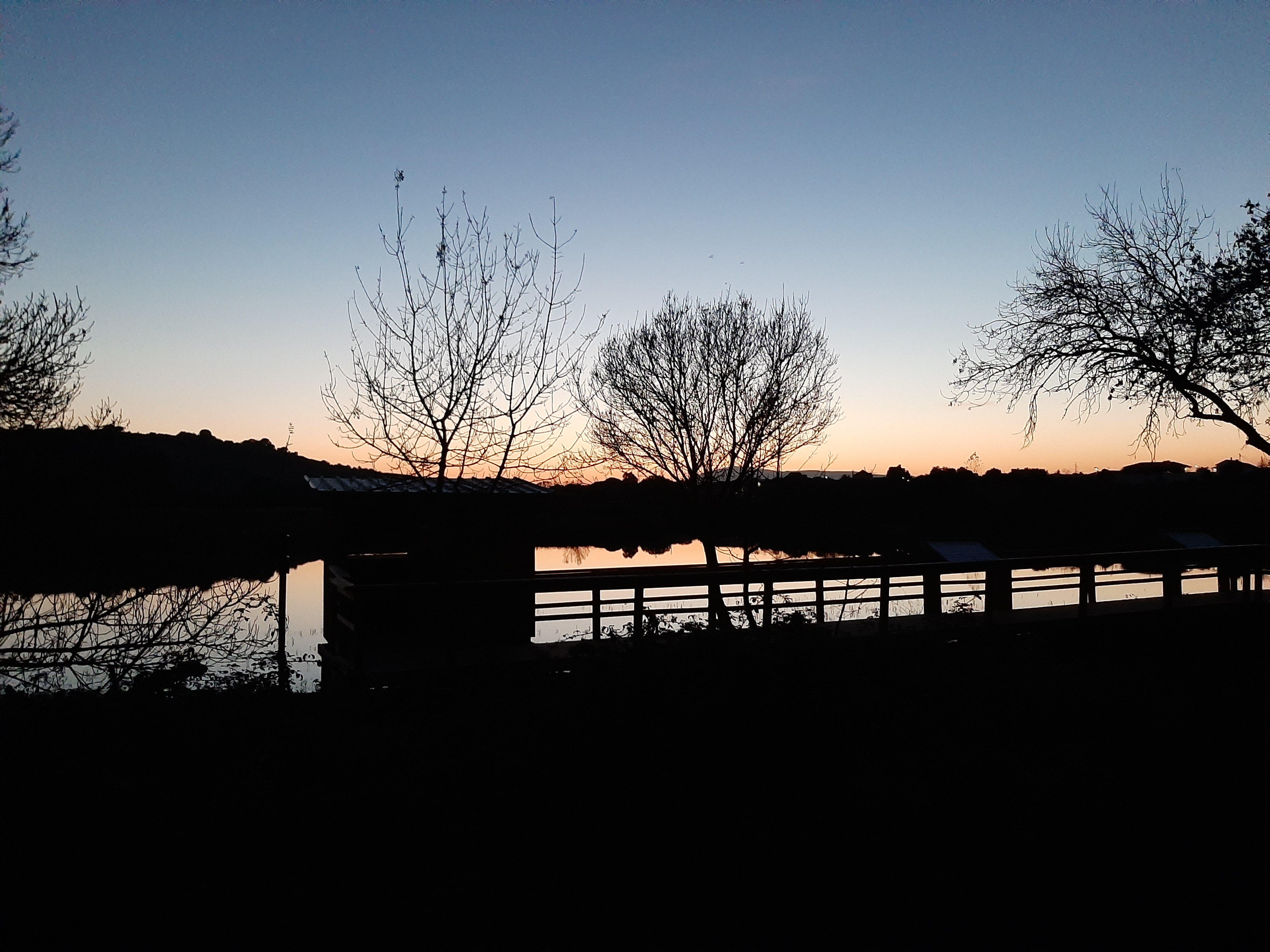 20210315045532_7.jpg